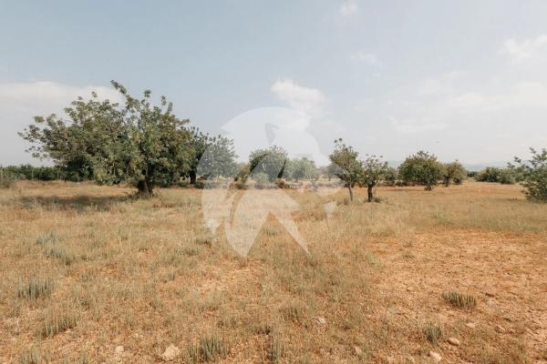 Terreno en Poligono 14