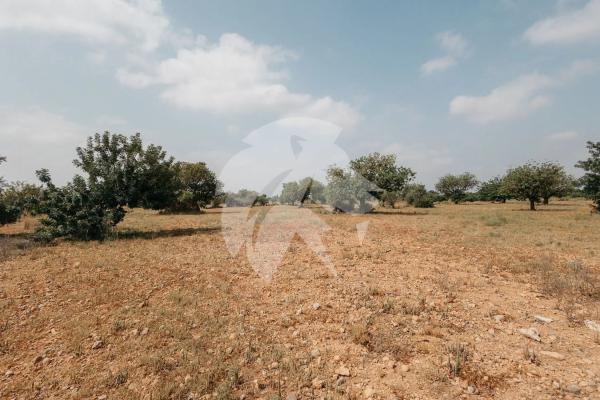 Terreno en Poligono 14