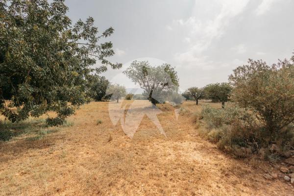 Terreno en Poligono 14