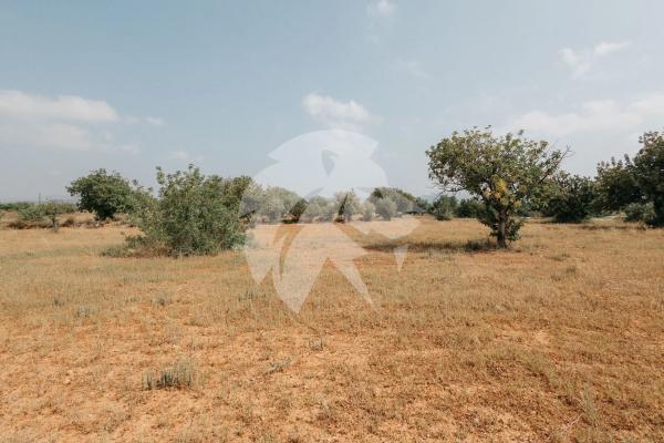 Terreno en Poligono 14