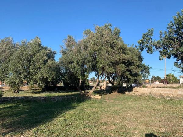 Terreno en camino l'Argila Pla Cova, 10