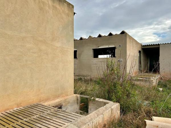 Terreno en Los Pinares-La Masía