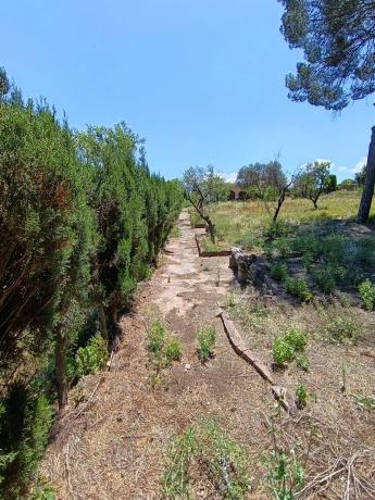 Terreno en Urbanizacion Mas Camarena