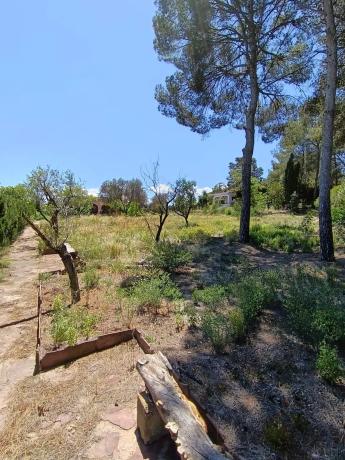 Terreno en Urbanizacion Mas Camarena