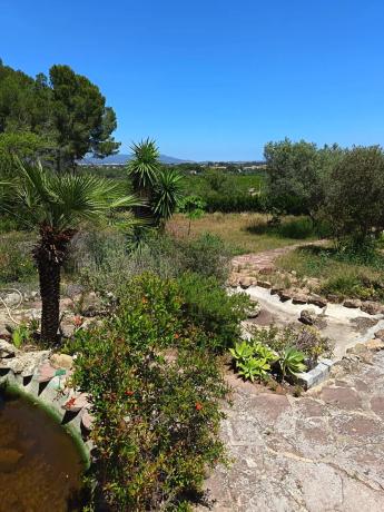Terreno en Urbanizacion Mas Camarena