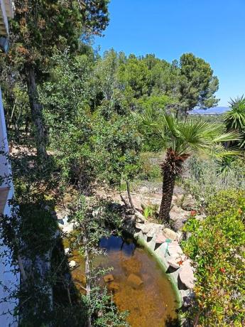 Terreno en Urbanizacion Mas Camarena