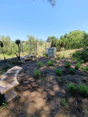 Terreno en Urbanizacion Mas Camarena