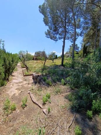 Terreno en Urbanizacion Mas Camarena