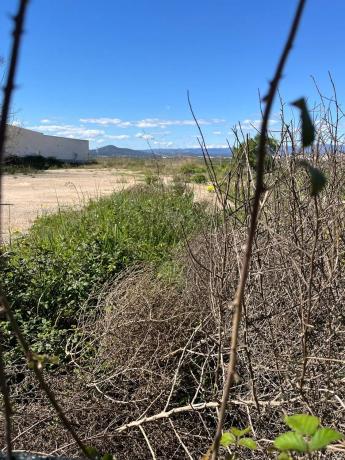 Terreno en calle de Maria Roca, 1
