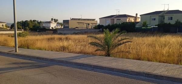 Terreno en calle Número 1