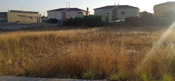 Terreno en calle Número 1