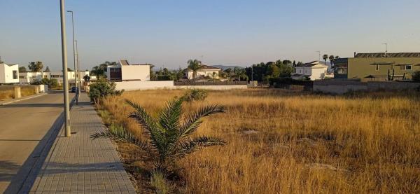 Terreno en calle Número 1