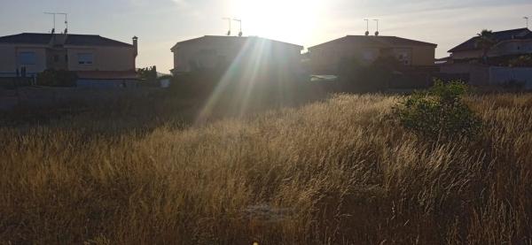 Terreno en calle Número 1