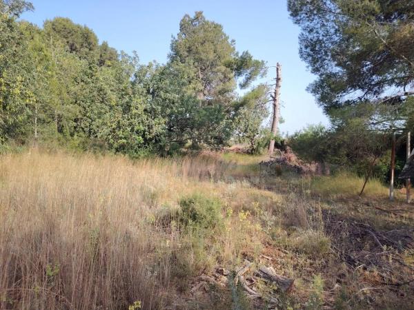 Terreno en Parque de la Bombilla-Pla de Rascanya