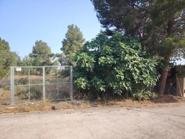 Terreno en Parque de la Bombilla-Pla de Rascanya