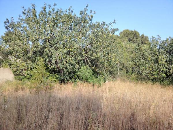 Terreno en Parque de la Bombilla-Pla de Rascanya