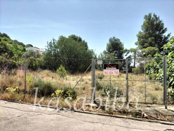 Terreno en calle Liebre San Gerardo