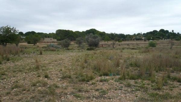 Terreno en calle Número 32