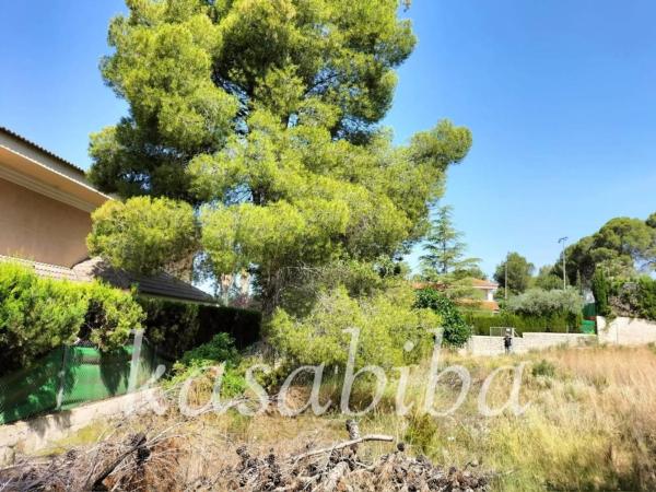 Terreno en calle Liebre San Gerardo