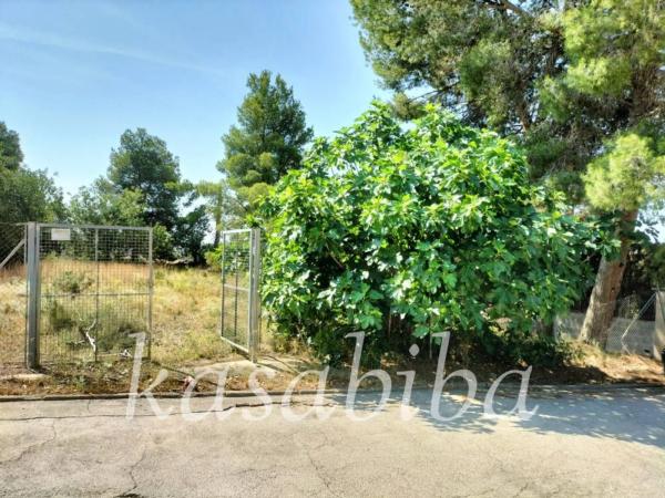 Terreno en calle Liebre San Gerardo