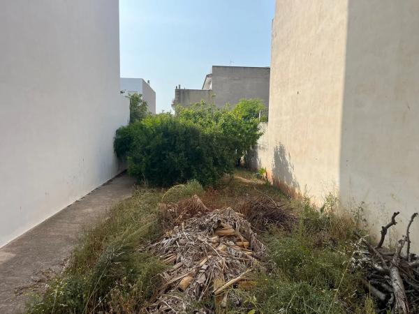 Terreno en avenida de la Constitució