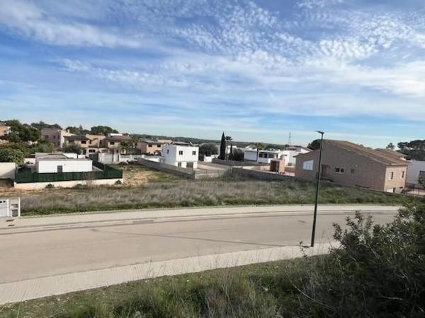 Terreno en avenida del Palmeral, 6