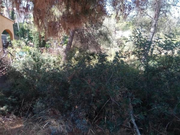 Terreno en Urbanization Monte Horquera, 411 -335