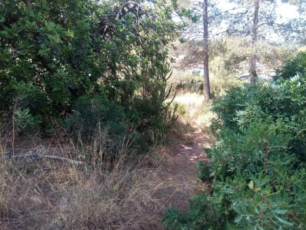 Terreno en Urbanization Monte Horquera, 411 -335