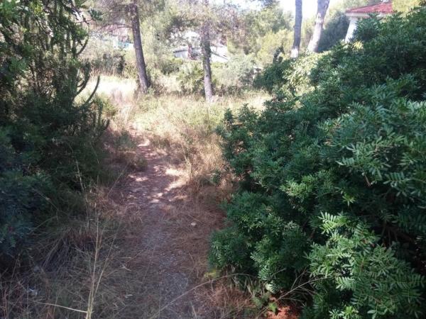 Terreno en Urbanization Monte Horquera, 411 -335