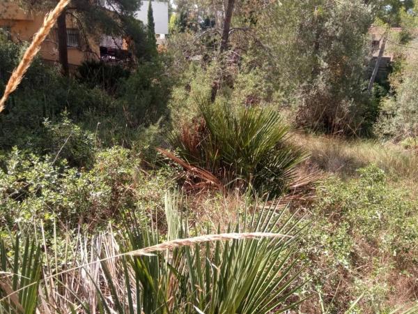 Terreno en Urbanization Monte Horquera, 411 -335