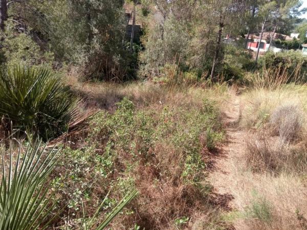 Terreno en Urbanization Monte Horquera, 411 -335