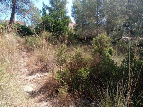 Terreno en Urbanization Monte Horquera, 411 -335