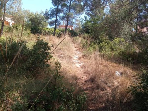 Terreno en Urbanization Monte Horquera, 411 -335