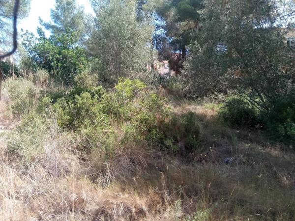 Terreno en Urbanization Monte Horquera, 411 -335