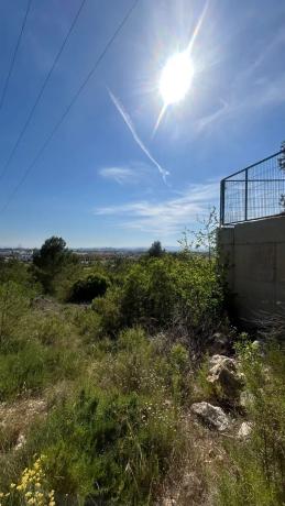 Terreno en calle Naranjo s/n