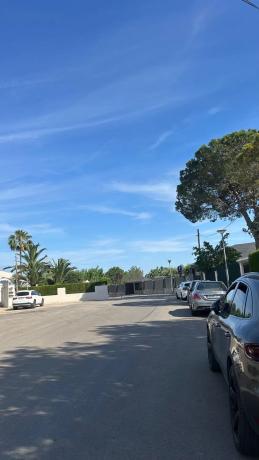 Terreno en calle Naranjo s/n