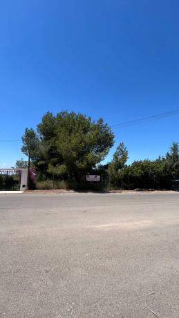 Terreno en calle Naranjo s/n