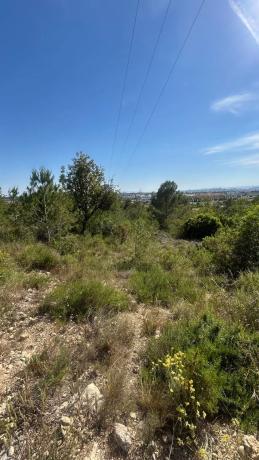 Terreno en calle Naranjo s/n