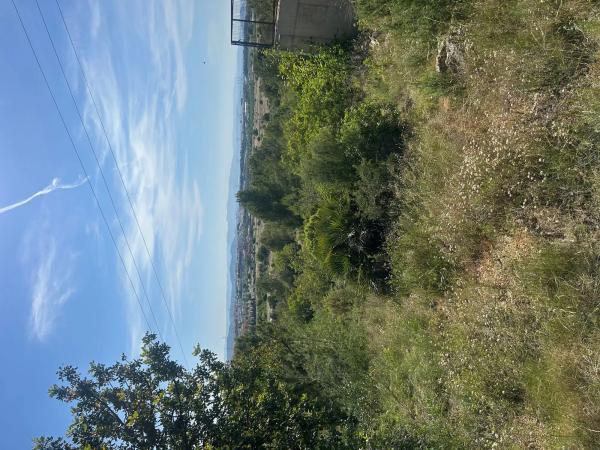 Terreno en calle Naranjo s/n