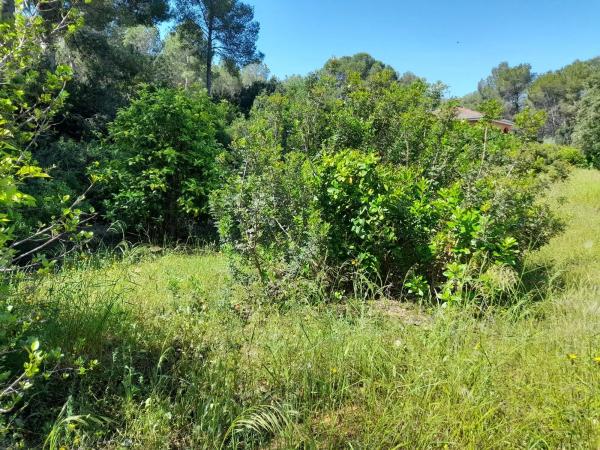 Terreno en Polígono, 319