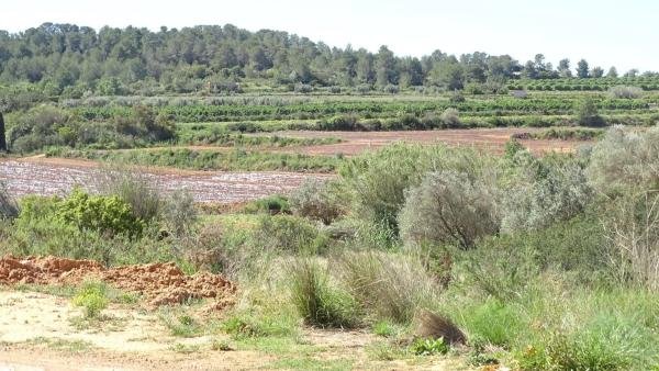 Terreno en plaza Báscula, 6