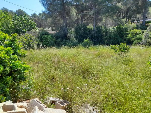 Terreno en Polígono, 319