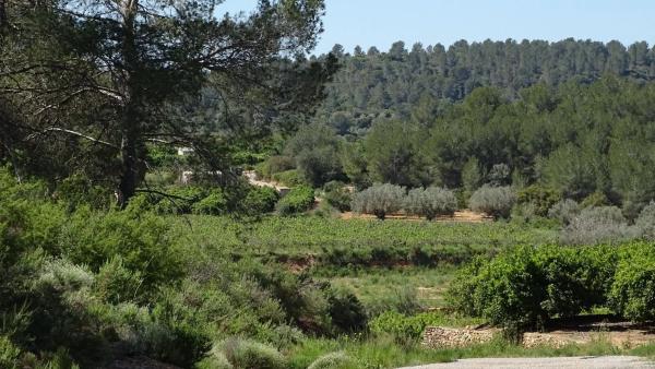 Terreno en plaza Báscula, 6