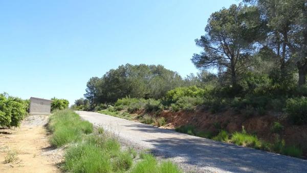 Terreno en plaza Báscula, 6