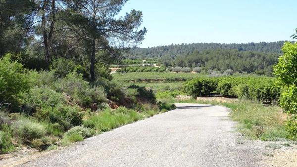 Terreno en plaza Báscula, 6