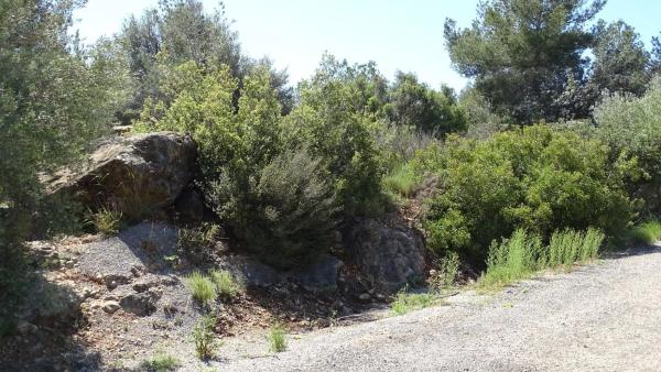 Terreno en plaza Báscula, 6