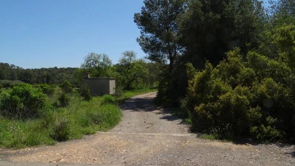 Terreno en plaza Báscula, 6