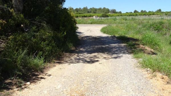 Terreno en plaza Báscula, 6