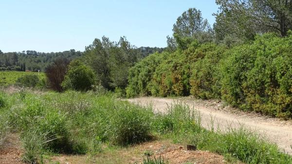 Terreno en plaza Báscula, 6