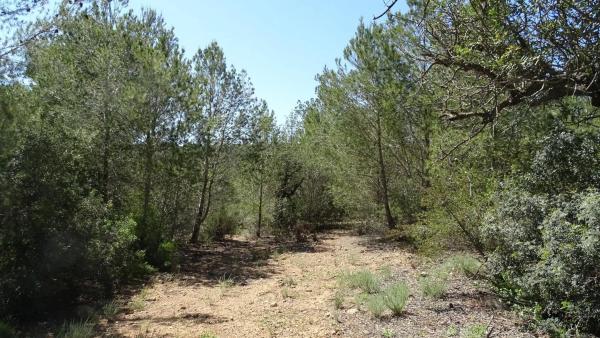 Terreno en plaza Báscula, 6